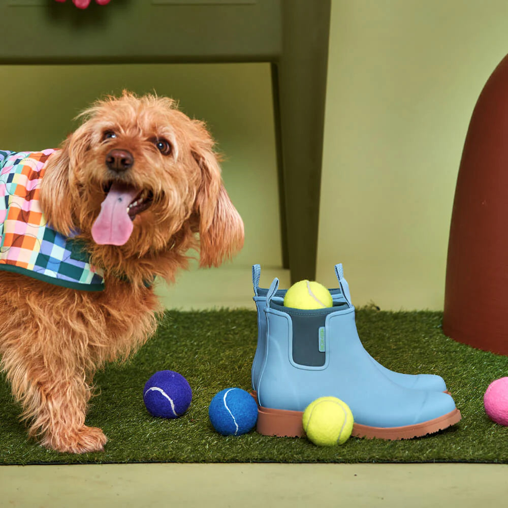 Behind The Trees - Merry People - Bobbi Ankle Boot - Seafoam - Behind The Trees are proud to be Merry People Stockists - Merry People Australia - Merry People boots - Merry People boots discount code -