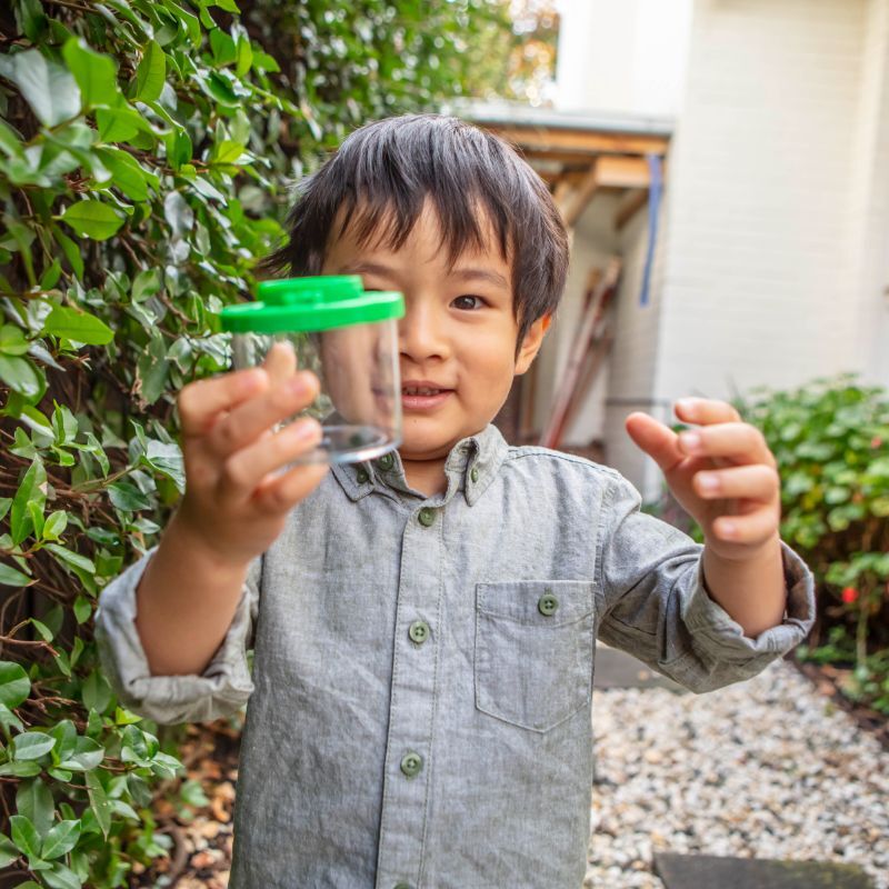 Behind The Trees - Bug Spotter Kit with clear container, green lid, yellow pencil, and handbook on a white background - Tiger Tribe - Bug Spotter Kit