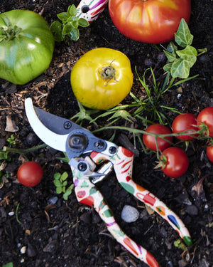 Behind The Trees - Kip & Co x Stephanie Alexander - Stephanie's Harvest Garden Secateurs and Gloves Set  - fun and colourful gardening tools - gardening tools set - christmas gift under $60