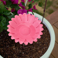 Annabel Trends - Sunflower Bamboo Bird Bath - Pink