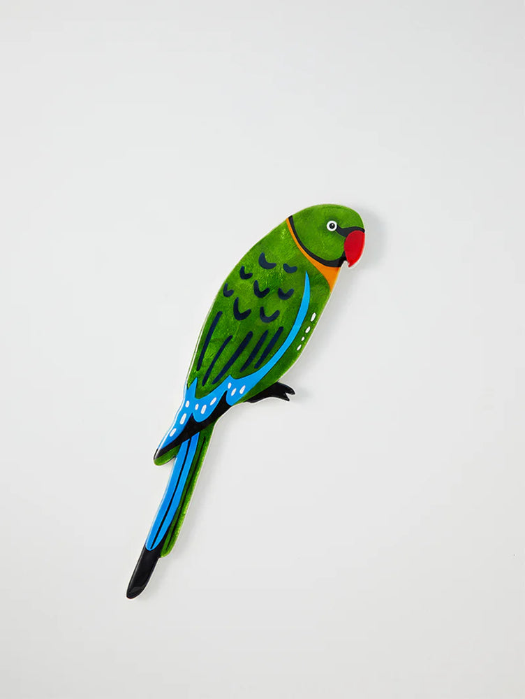 Jones & Co - Wall Art - Aerial Parrot