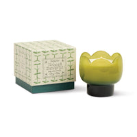 Behind The Trees - Green candle in a decorative box with a plant design on a white background - Designworks - Tulip 5.5oz Milky Glass - Verbena & Lemongrass