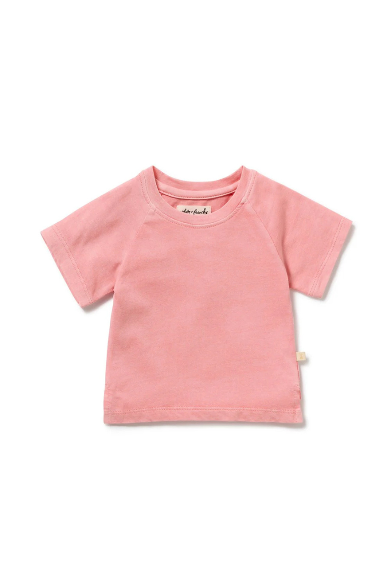 Behind The Trees - Pink t-shirt on a white background - Wilson + Frenchy - Organic Dyed Tee - Rose