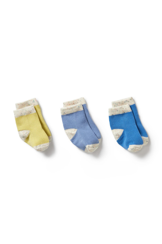 Wilson and Frenchy - Organic 3 Pack Baby Socks - Endive, Bluebell, Blue