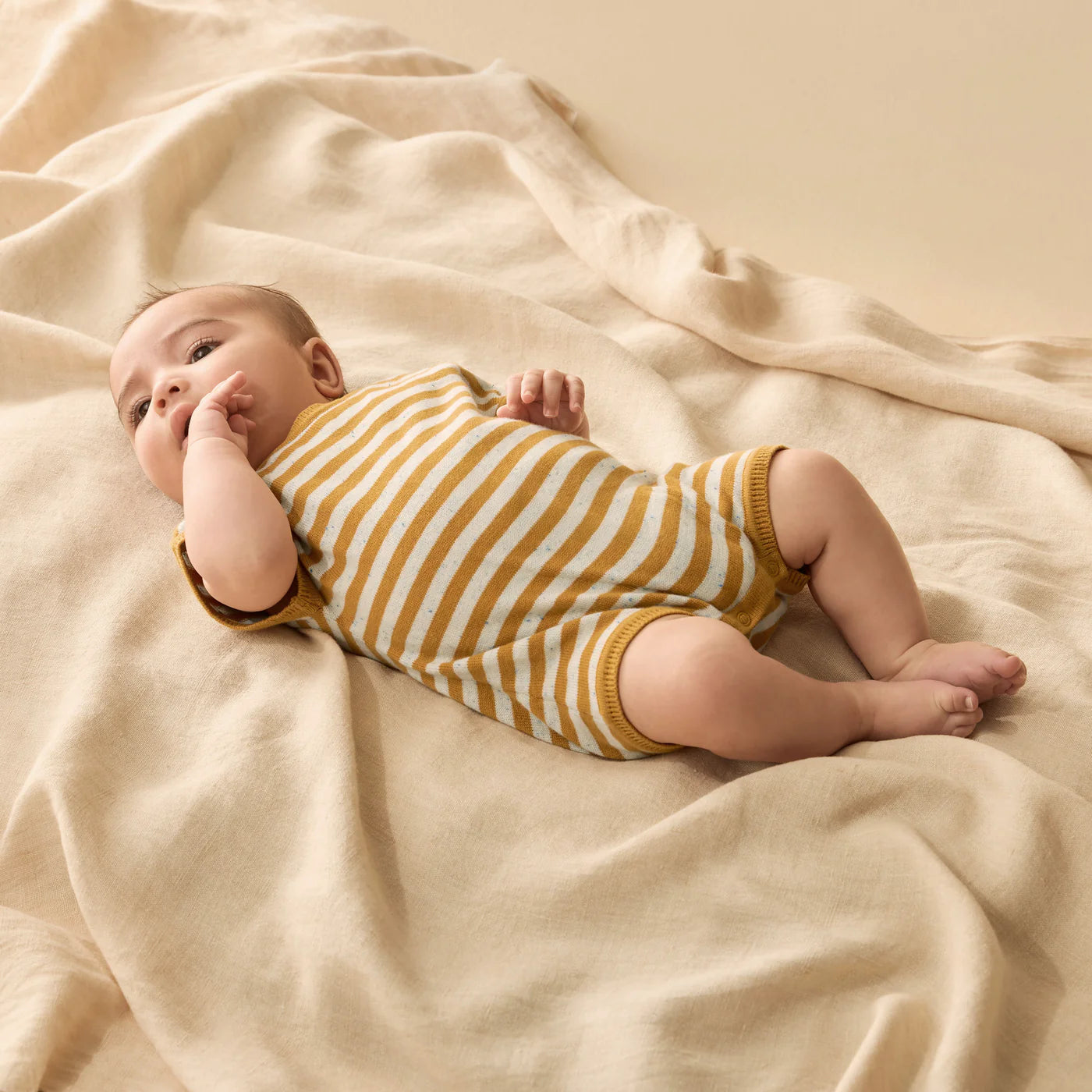 Behind The Trees - Striped baby romper with short sleeves on a white background - Wilson + Frenchy - Golden Wave - Stripe Organic Knitted Growsuit