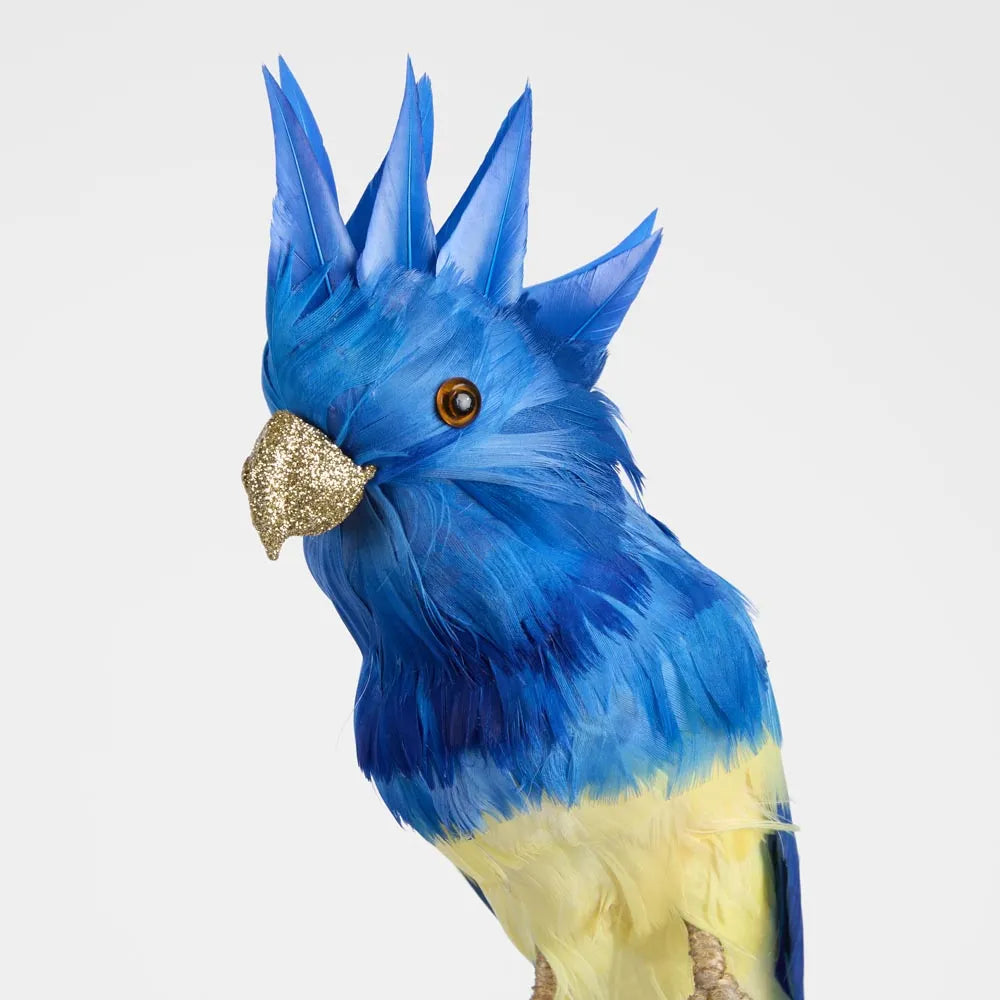 Behind The Trees - Blue and yellow parrot plush toy on a white background - Florabelle Living - Jacques Crested Blue Bird - Christmas Decoration