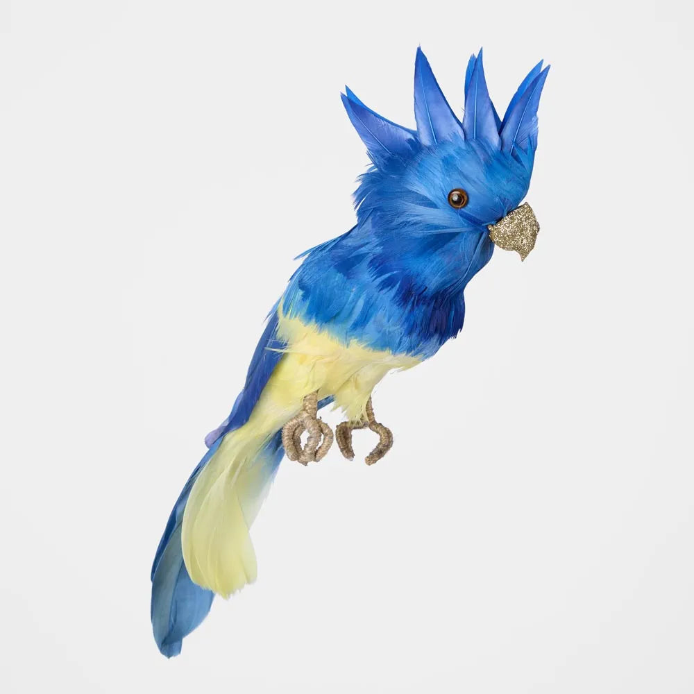 Behind The Trees - Blue and yellow parrot plush toy on a white background - Florabelle Living - Jacques Crested Blue Bird - Christmas Decoration