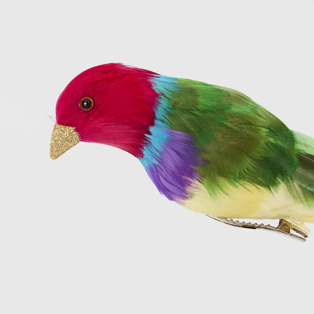Behind The Trees - Multicolored parrot on a light gray background - Florabelle Living - Red Headed Finch