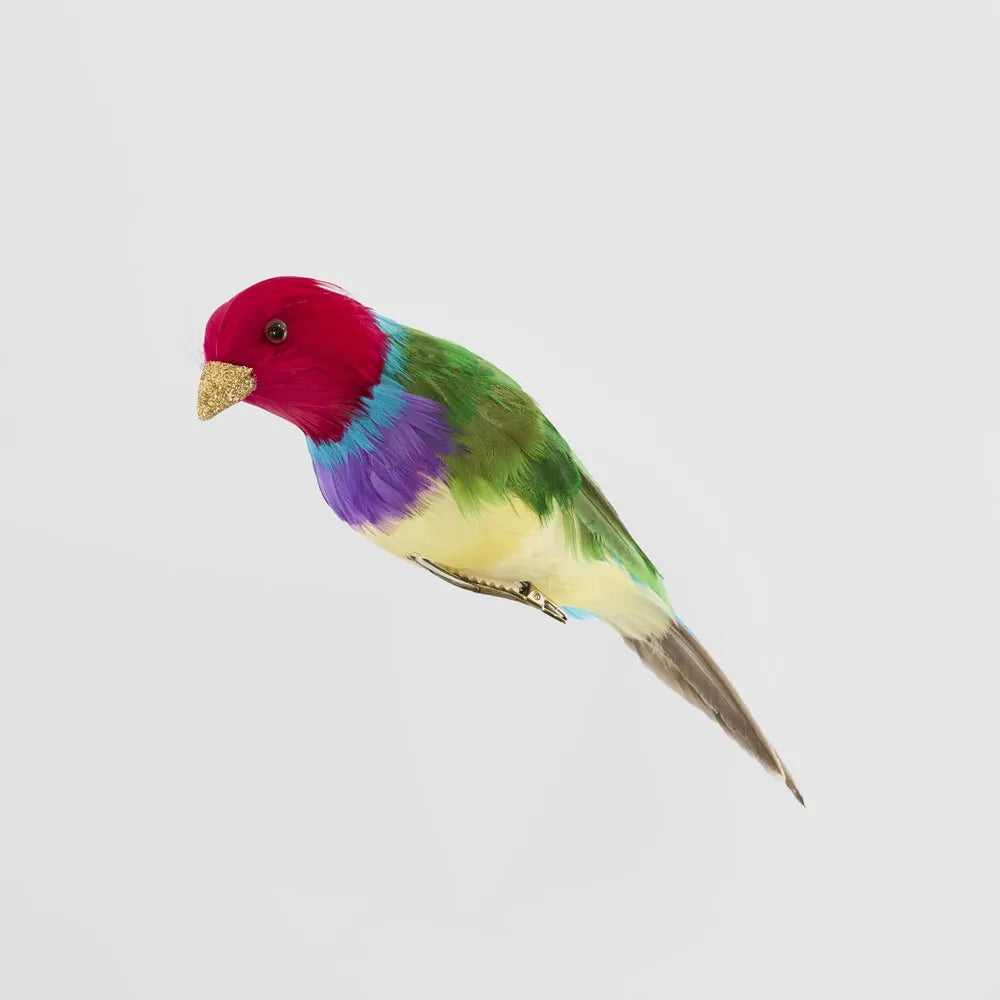 Behind The Trees - Multicolored parrot on a light gray background - Florabelle Living - Red Headed Finch