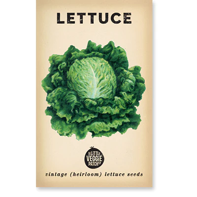 The Little Veggie Patch Co - Heirloom Seeds - Lettuce - Oakleaf