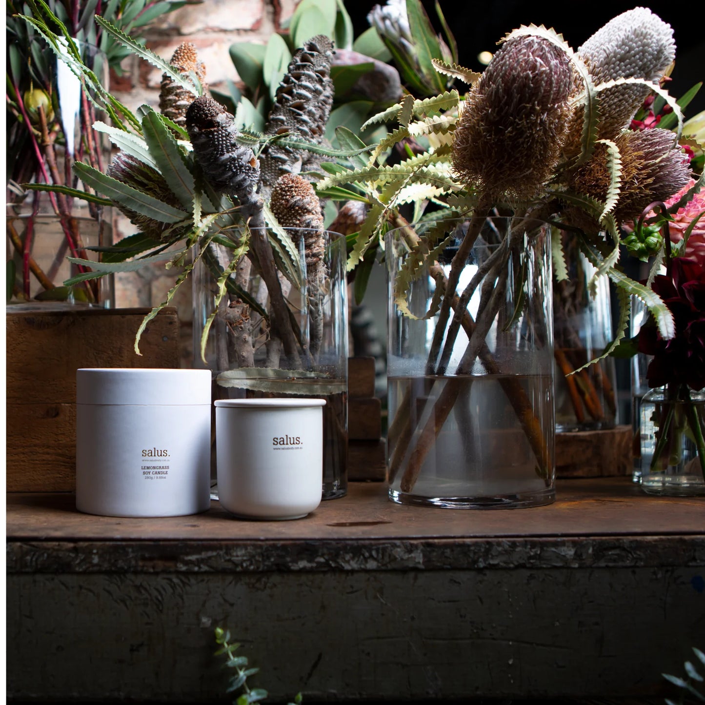 Behind The Trees - Two white candles with 'salus' branding on a white background - Salus Body - Lemongrass Soy Candle - 60hr