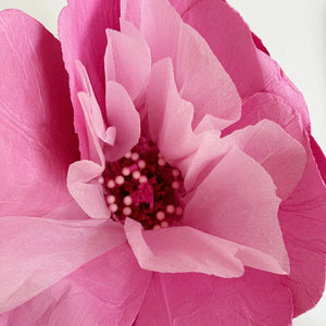 Paper Flowers - Sakura - Soft Pink