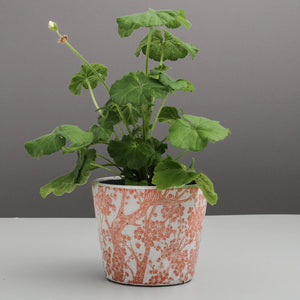 
                
                    Load image into Gallery viewer, Indigo Love - Blossom Pot
                
            